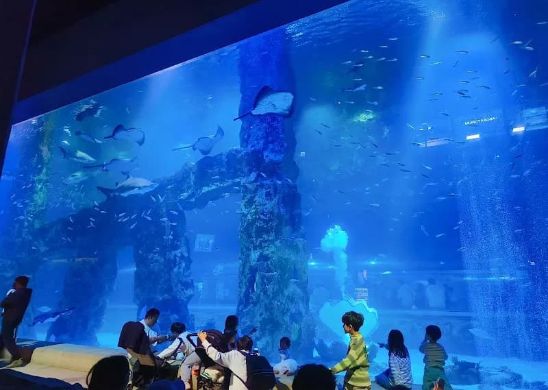 LOTTE WORLD AQUARIUM aquarium in Songpa, SE