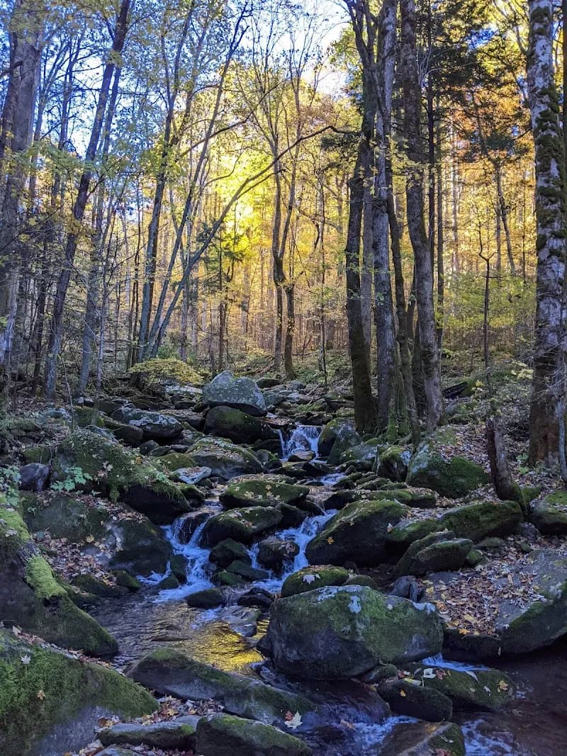 Low Gap Trail route in Cosby, TN