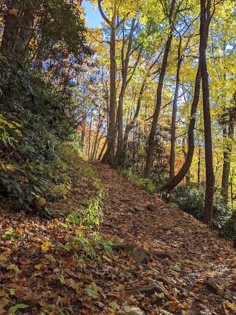 View of Low Gap Trail in Cosby, TN