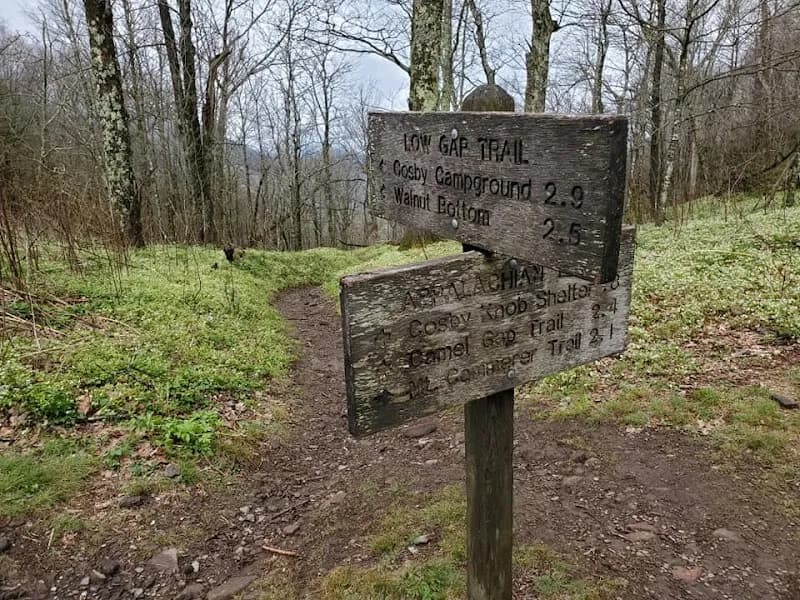View of Low Gap Trail in Cosby, TN