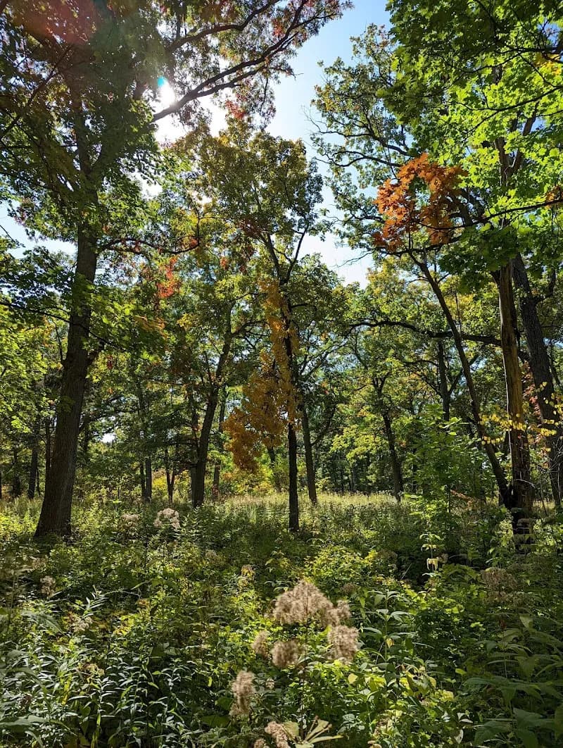 View of Lyman Woods & William F. Sherman, Jr. Interpretive Center in Downers Grove, IL