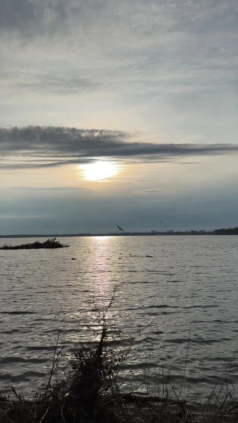 View of Müggelsee in Köpenick, BE