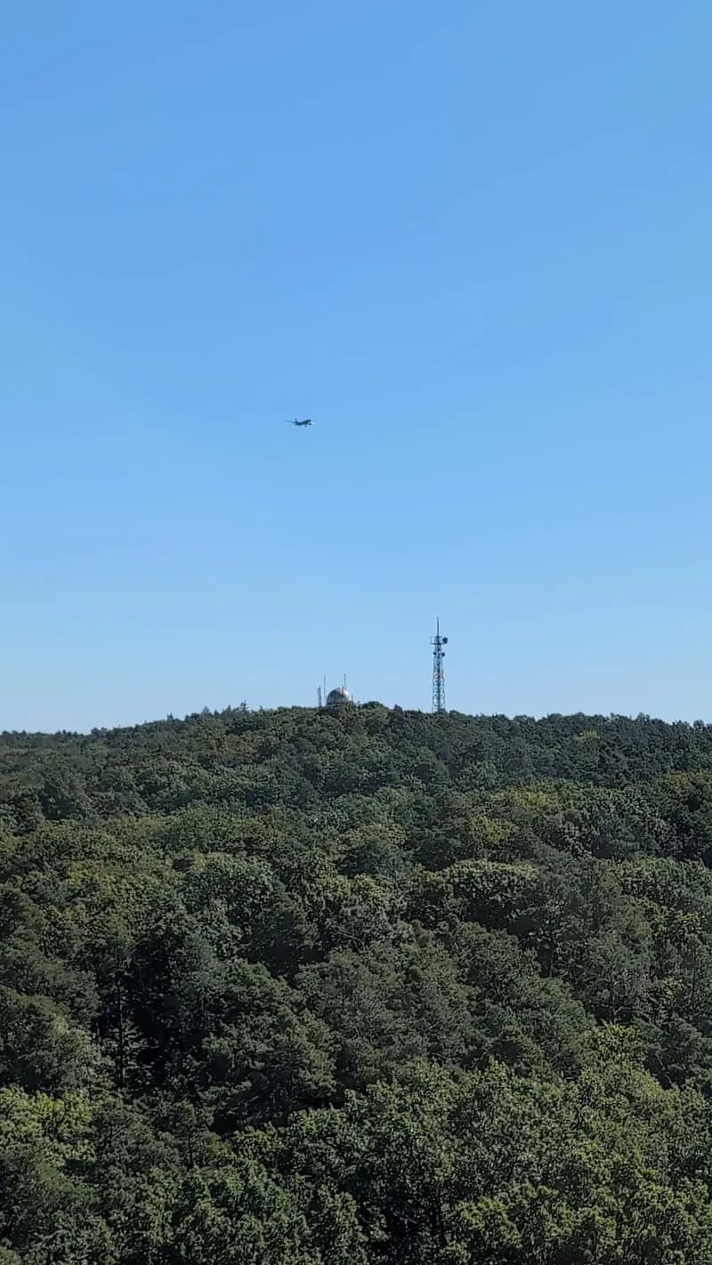 View of Müggelturm in Müggelsberge, BE