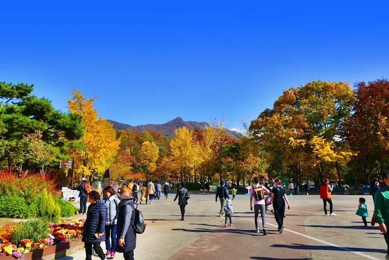 Mabuk Island Park park in Gwacheon, GG