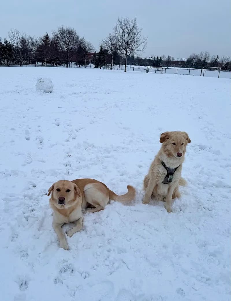 View of Mackenzie Glen District Park in Vaughan, ON