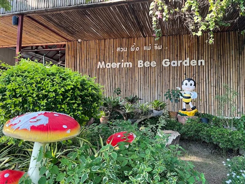 View of Mae Rim Bike Park in Mae Rim, CM