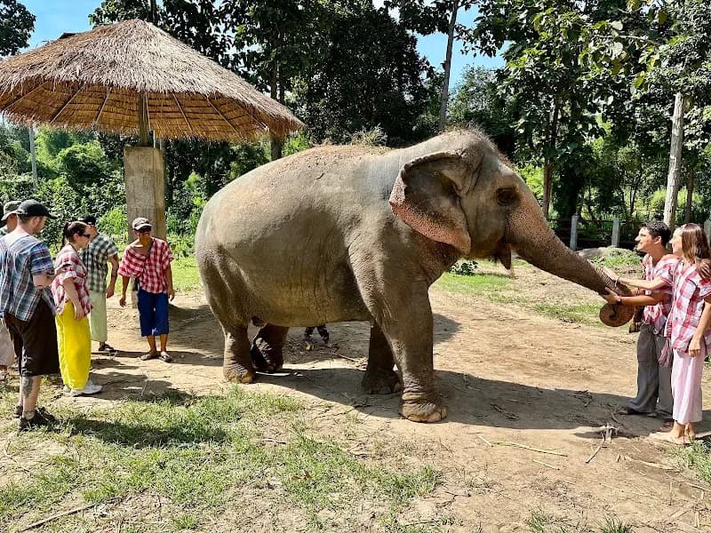 View of Maerim Elephant Sanctuary in Mae Rim, CM