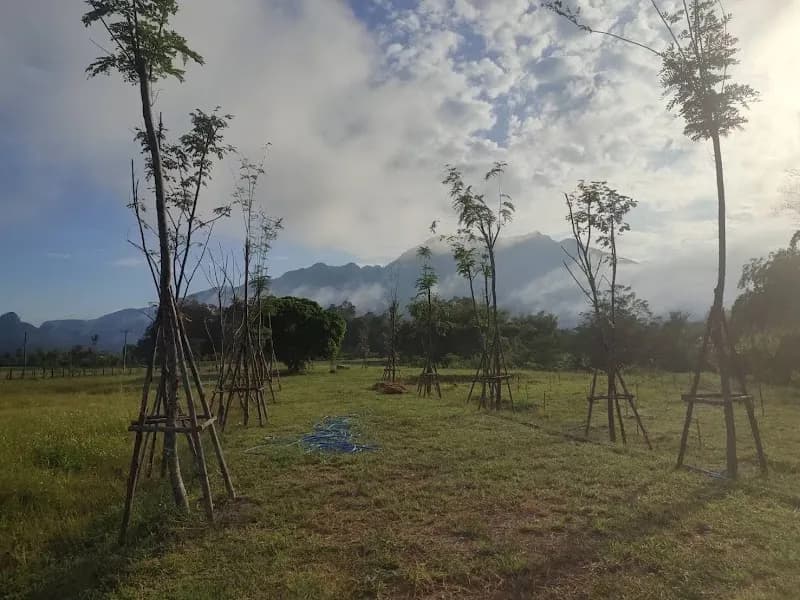 Malee Organic Fruit Farm farm in Chiang Dao, CM