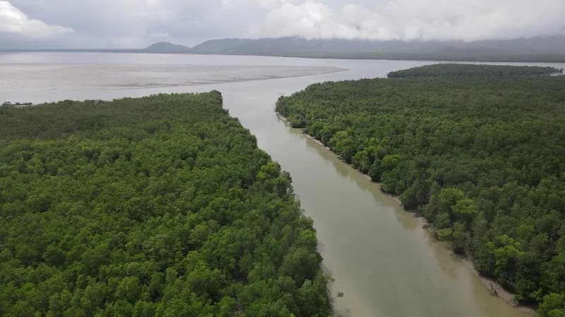 View of Manglares de la Bahía de Chame in Punta Chame, PA