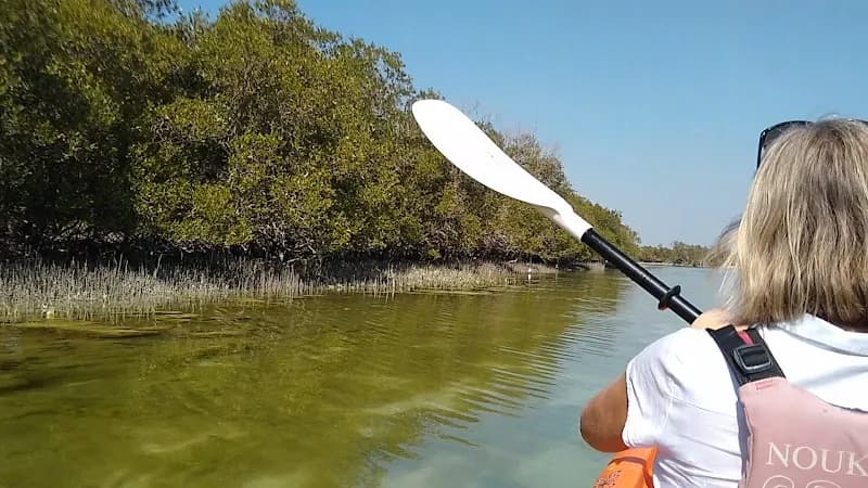 View of Mangrove Marine National Park in Abu Dhabi, AUH