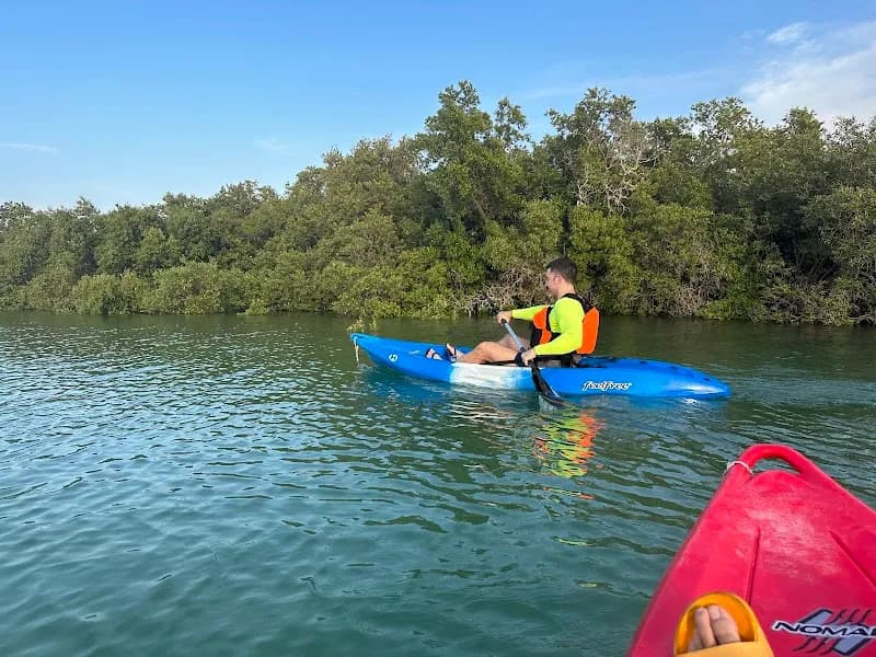 View of Mangrove Marine National Park in Abu Dhabi, AUH