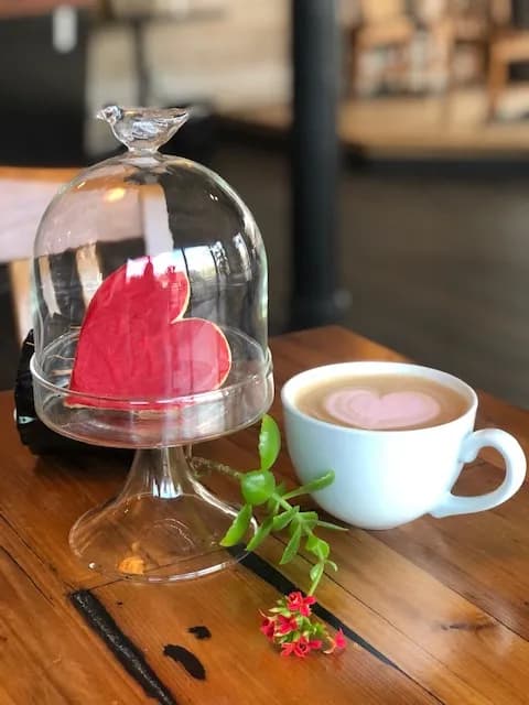View of Maplewood Deli & Coffeehouse in Maplewood, MO