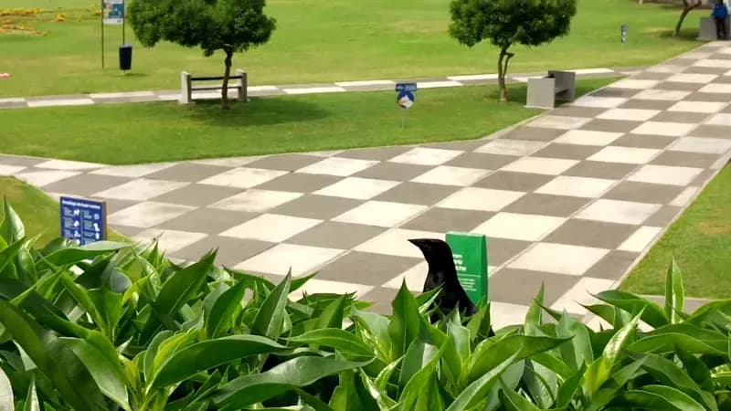 View of Maria Reiche Park in San Borja, Lima