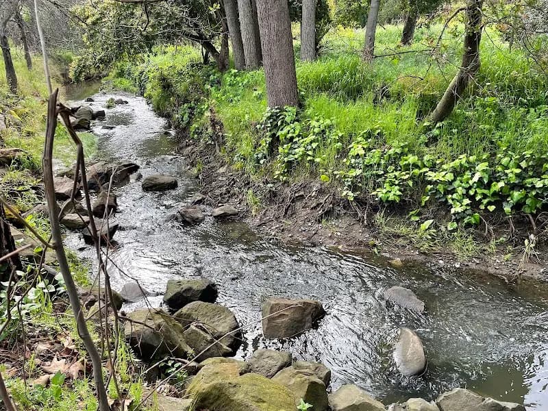 View of Markham Regional Arboretum in Concord, CA