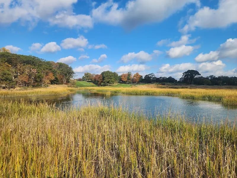 View of Marshlands Conservancy in Rye, NY