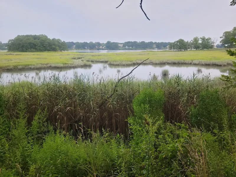 View of Marshlands Conservancy in Rye, NY