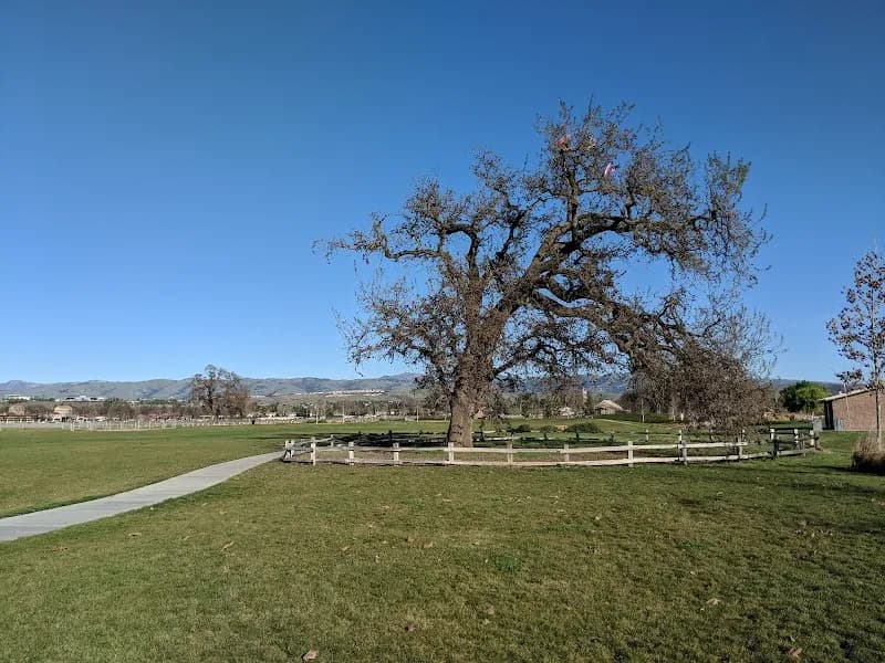 View of Martial Cottle Park in Redwood City, CA