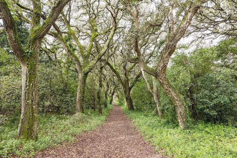 Matinha de Queluz Park park in Queluz, Sintra