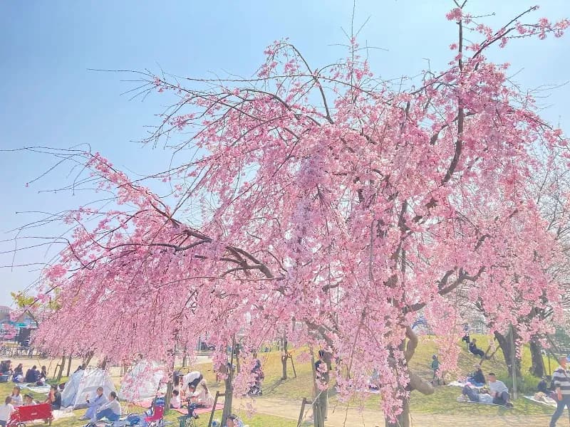 View of Matsubara Ayase River Park in Kawagoe, Saitama