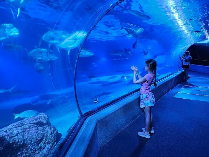 Maui Ocean Center, The Aquarium of Hawaii aquarium in Maui, HI
