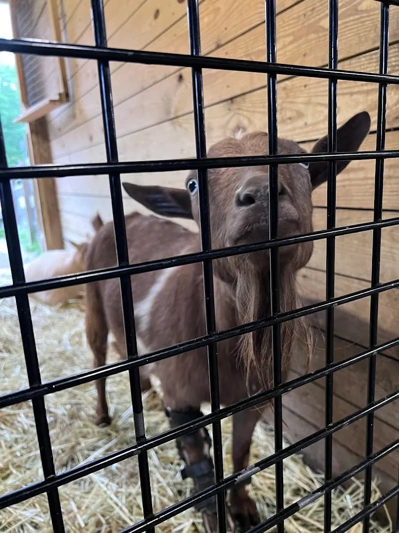 View of Maymont Farm in Richmond, VA