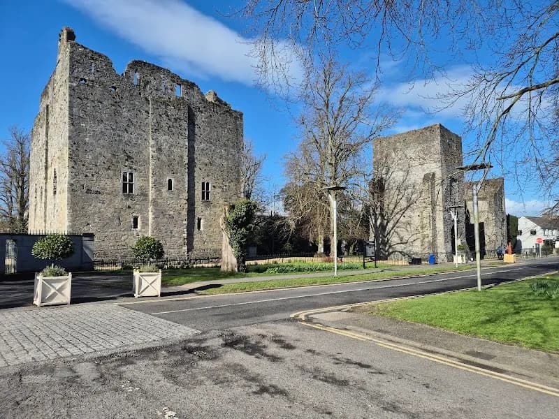 View of Maynooth Castle in Maynooth, D