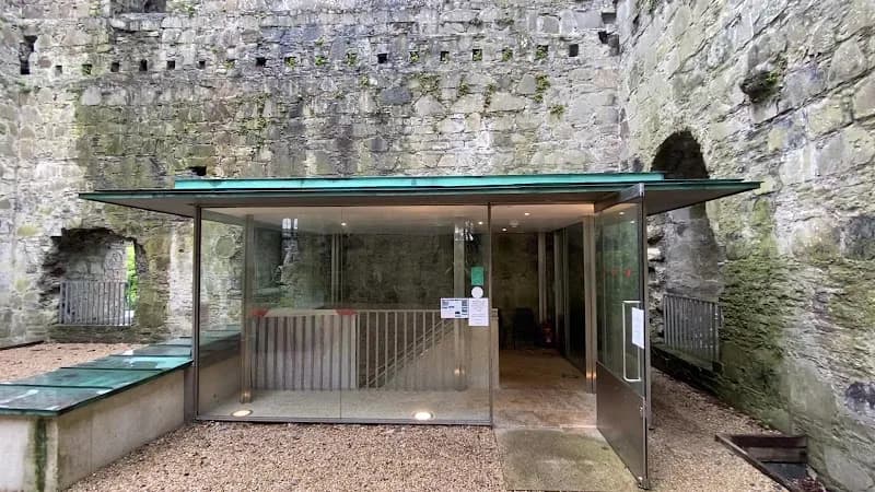 View of Maynooth Castle in Maynooth, D