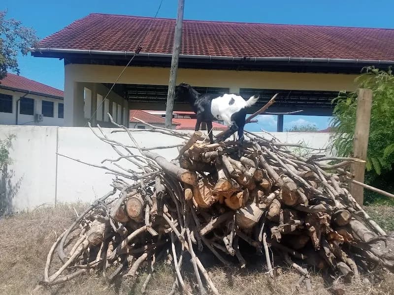 View of Mbezi Beach Cafe in Mbezi Beach, DSM
