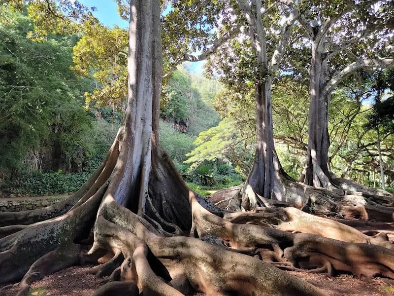 View of McBryde & Allerton Garden, National Tropical Botanical Garden in Kauai, HI