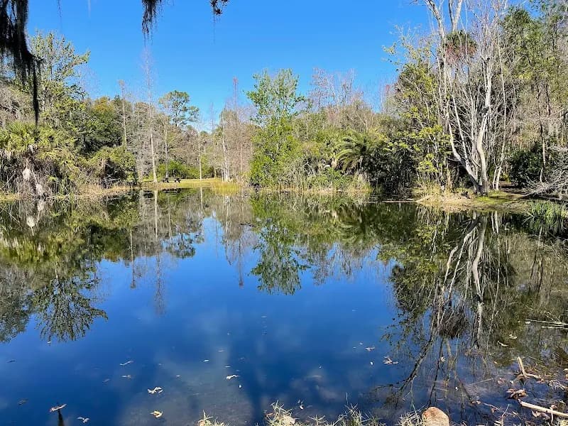 View of Mead Botanical Garden in Winter Park, FL