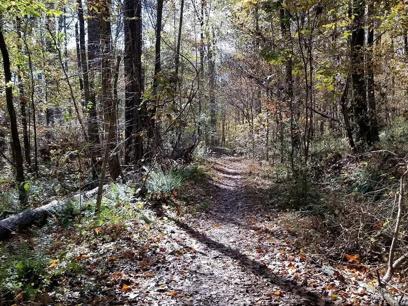 View of Medlock Bridge Chattahoochee River National Recreation Area in Duluth, GA