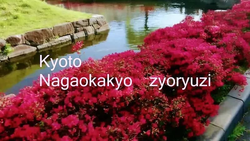 View of Meiji Park in Nagaokakyo, KYO