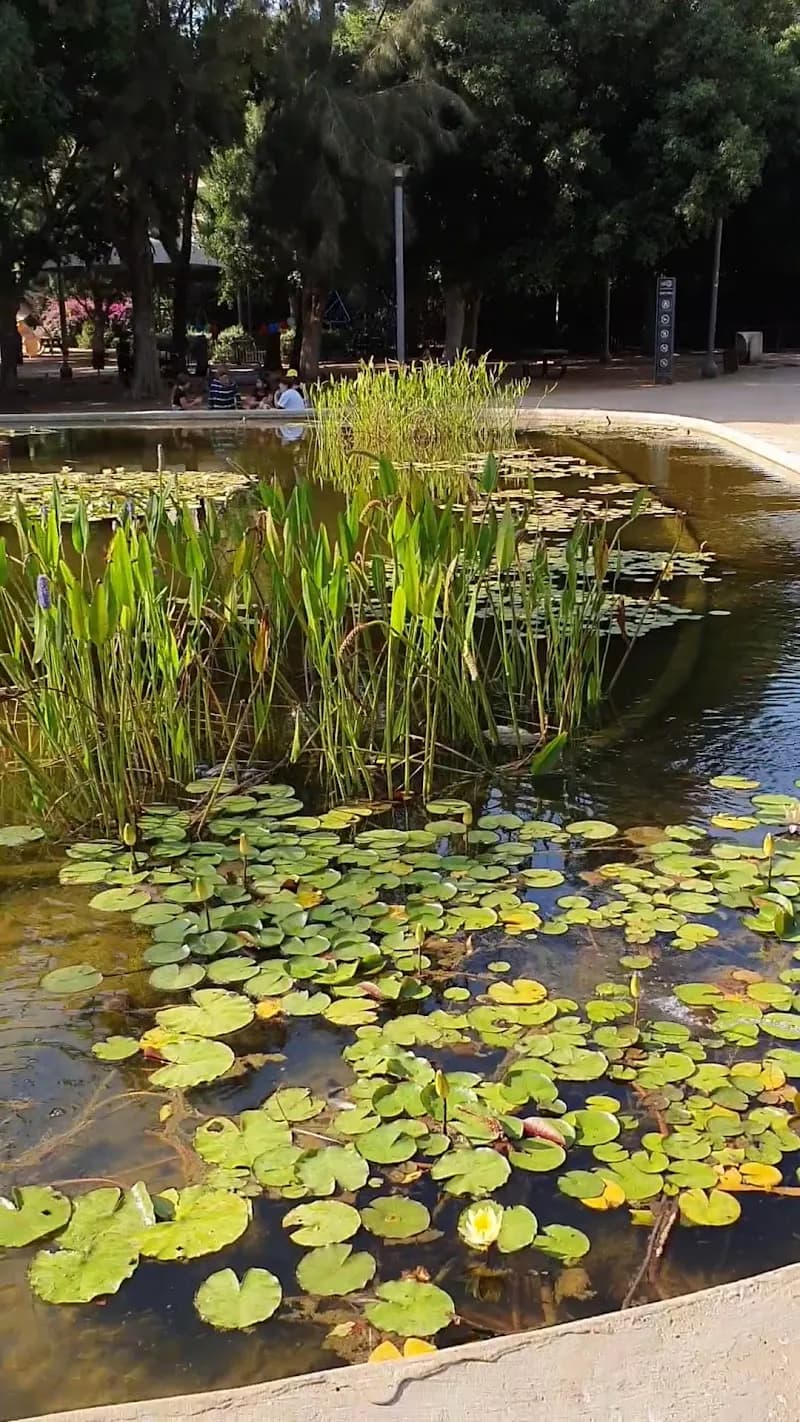 View of Meir Park in Sarona, TA