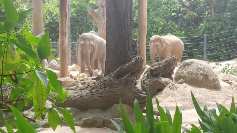 View of Melbourne Zoo in Melbourne, VIC