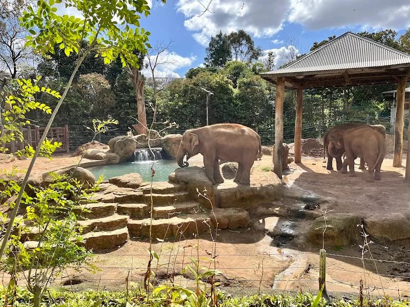 View of Melbourne Zoo in Melbourne, VIC