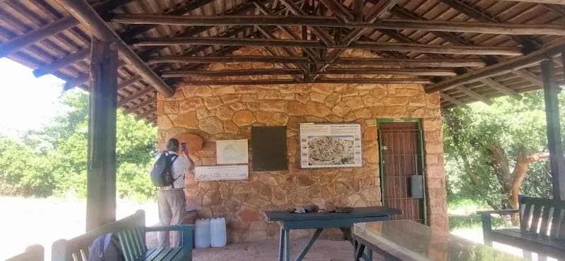 View of Melville Koppies Nature Reserve in Johannesburg, GP