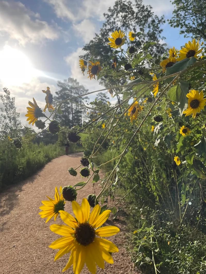 View of Memorial Park in Memorial, TX