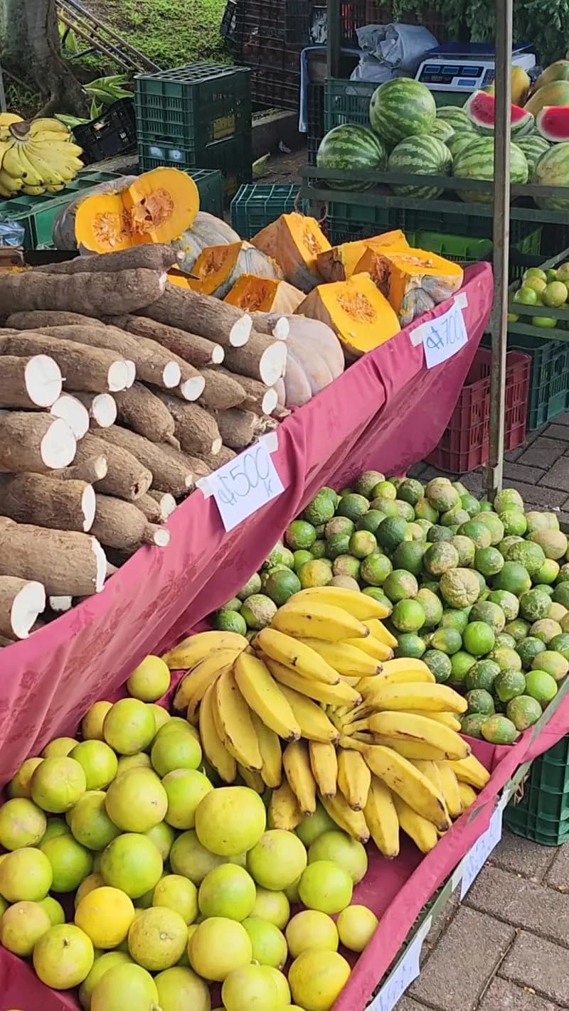 View of Mercado de San Isidro in San Isidro de Heredia, HD