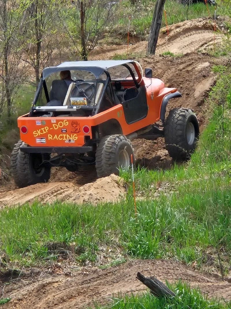 View of Mesick Lions Mushroom Festival in Mesick, MI