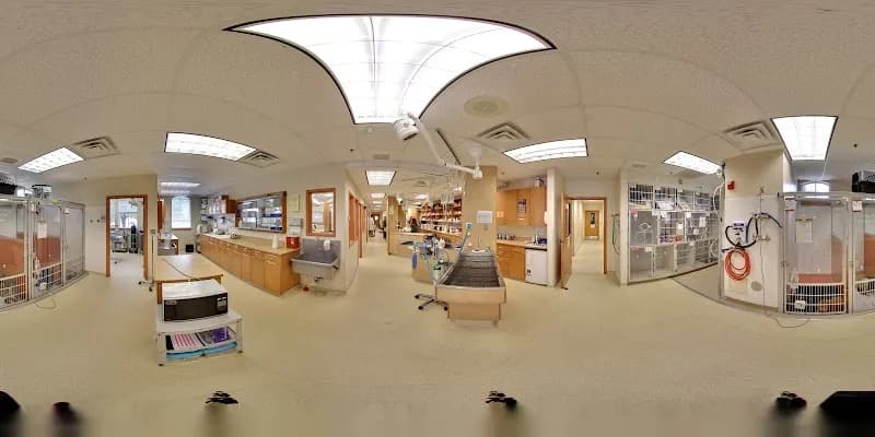 View of Metairie Small Animal Hospital in Old Metairie, LA