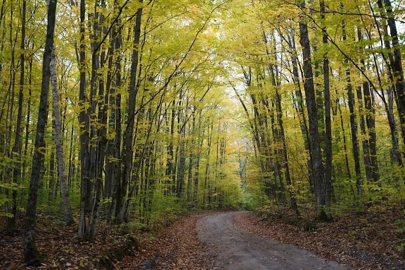 MI DNR Pigeon River Country State Forest Headquarters point of interest in Indian River, MI