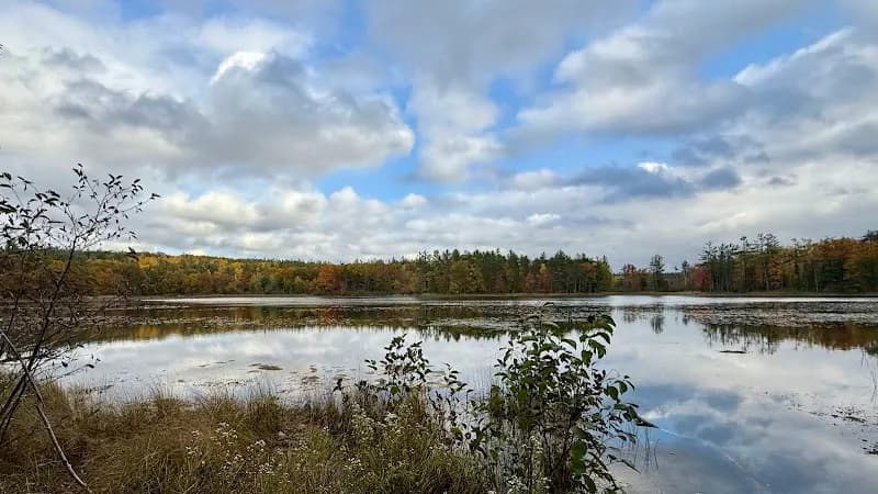 View of MI DNR Pigeon River Country State Forest Headquarters in Indian River, MI