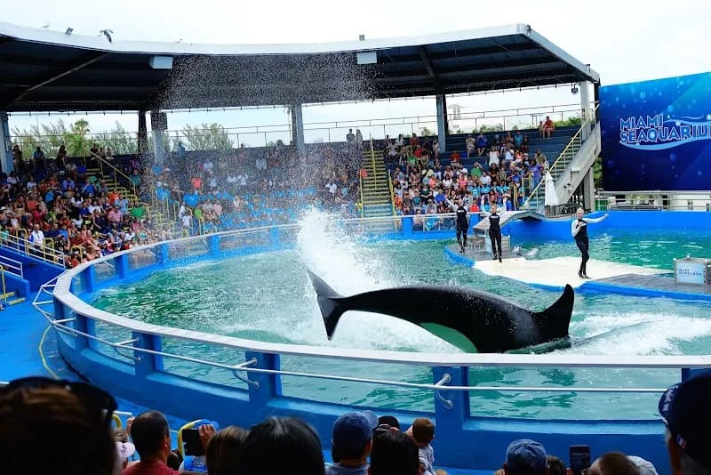 View of Miami Seaquarium in Miami, FL