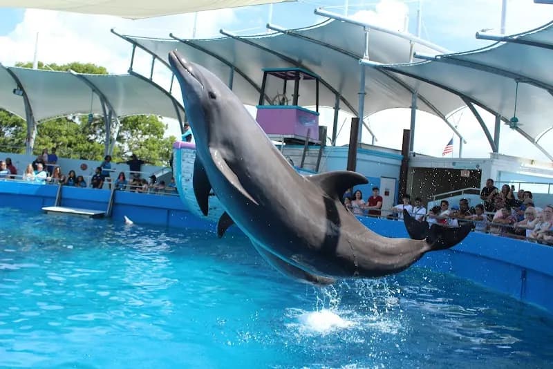 View of Miami Seaquarium in Miami, FL