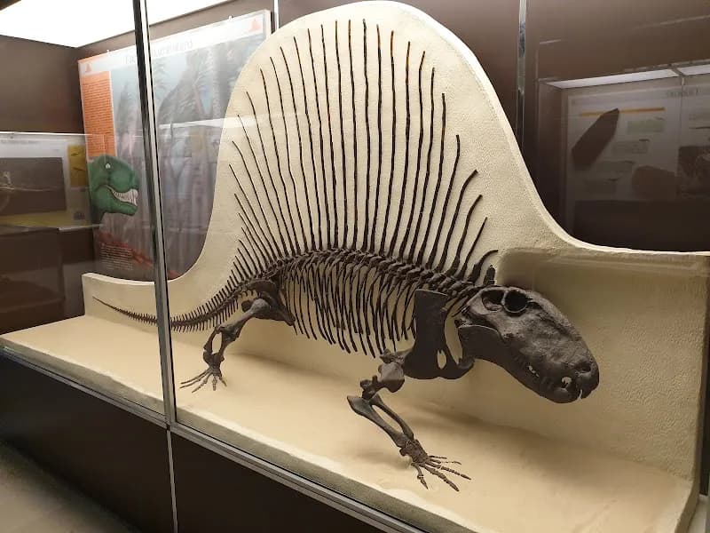 Milan Natural History Museum tourist attraction in Milan, LM