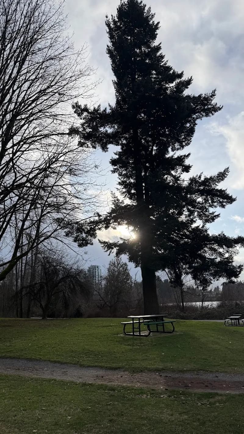 View of Mill Lake Park in Abbotsford, BC