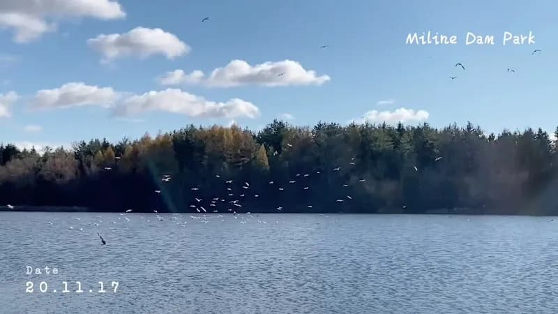 View of Milne Dam Conservation Park in Markham, ON