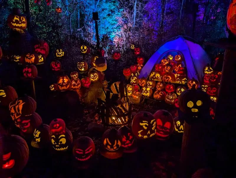 View of Minnesota Zoo in Apple Valley, MN