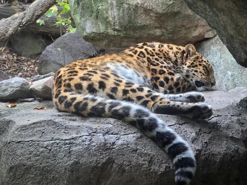 View of Minnesota Zoo in Apple Valley, MN