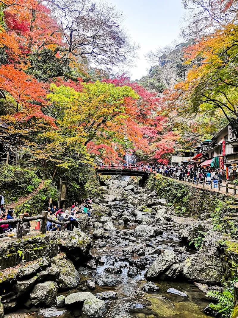 View of Mino Mountain Trail Network in Mino, Osaka